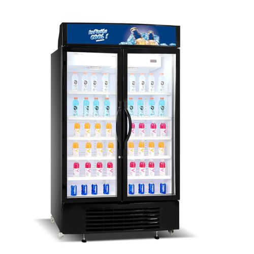 Nasco Refroidisseur Vertical 1000 L 2 Battants